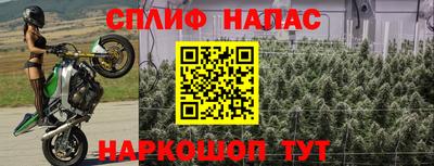 Альфа ПВП Краснокаменск