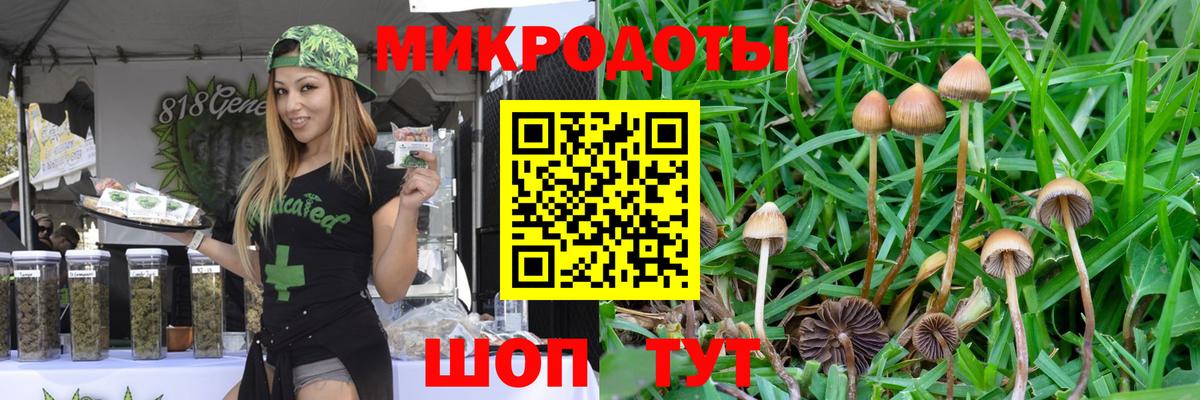 Галлюциногенные грибы MAGIC MUSHROOMS Кировск