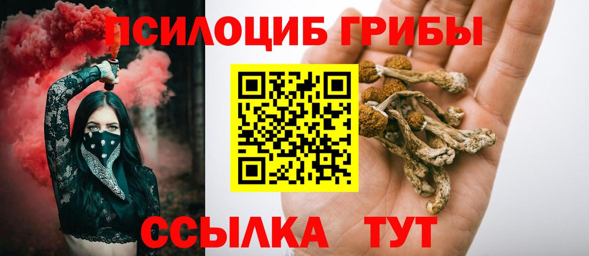 Псилоцибиновые грибы Psilocybine cubensis  Вход с VPN  где продают наркотики  Кировск  Псилоцибиновые грибы мицелий 